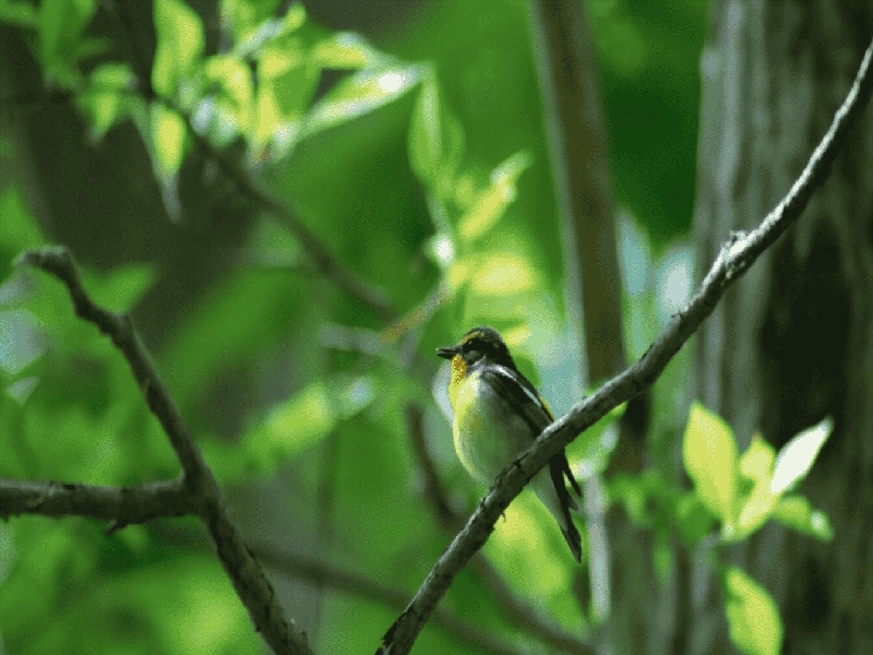 人授试管无锡（不明液体试管掉落）