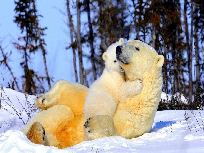试管真实经历图文（国内试管的流程）